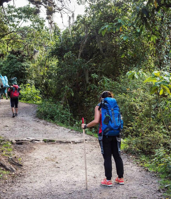 Andean Path Tours