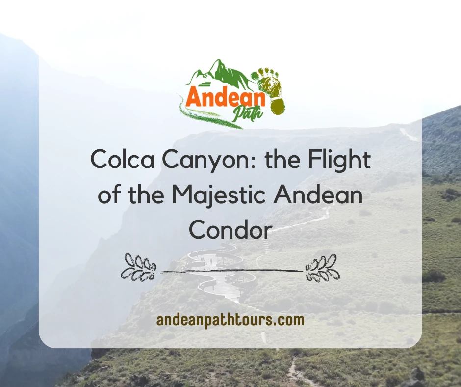 Colca Canyon