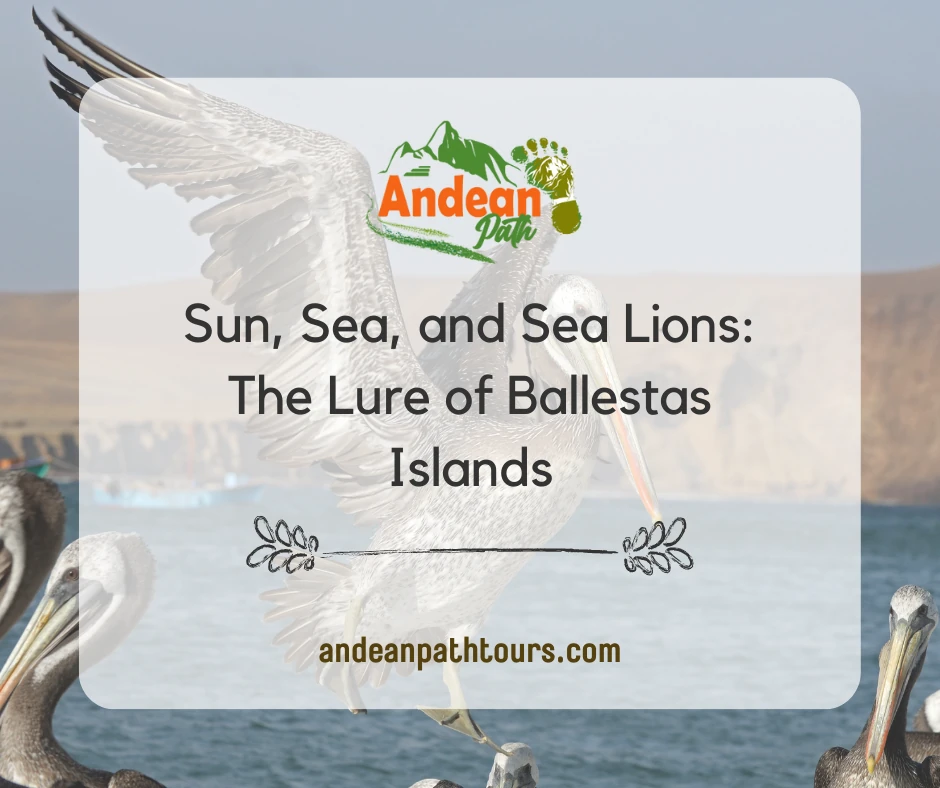 Sun, Sea, and Sea Lions: The Lure of Ballestas Islands